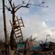 A chair hands in a tree amidst homes destroyed by Hurricane Matthew in Port Salut, Haiti. Image: Rebecca Blackwell/AP